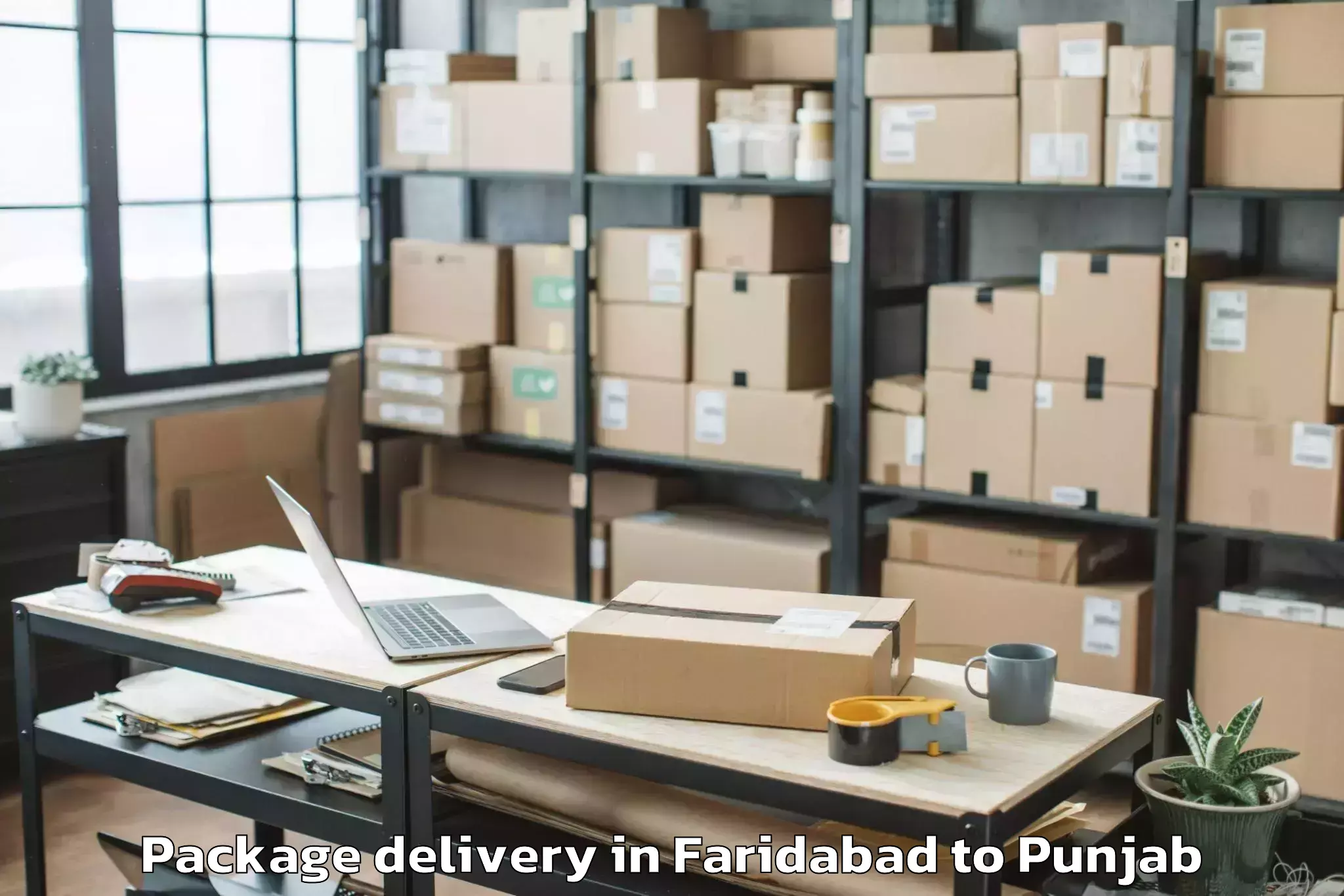 Affordable Faridabad to Balachaur Package Delivery